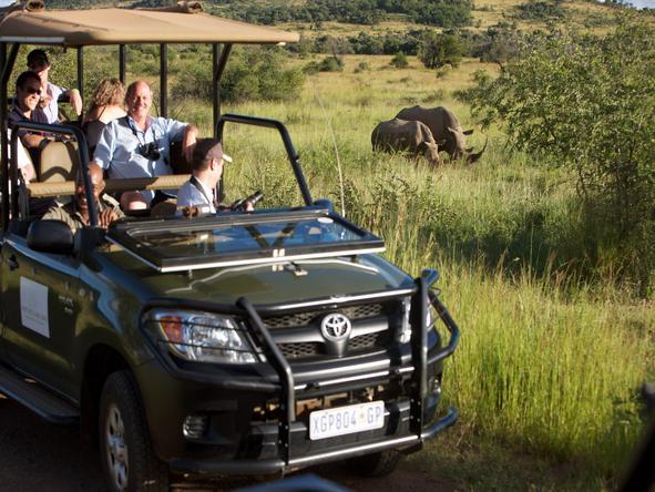 Ivory Tree Game Lodge - Game Drive 